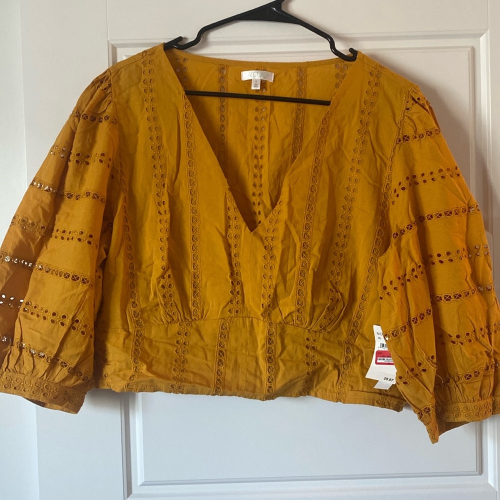 Boho style deep V, puff sleeved crop top